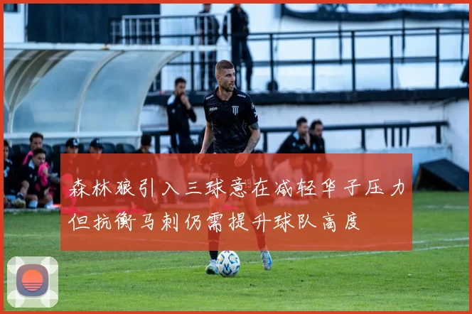 森林狼引入三球意在减轻华子压力但抗衡马刺仍需提升球队高度